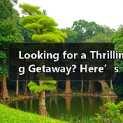 Looking for a Thrilling Getaway? Here’s How to Plan Your Perfect Angdong Chimelong Adventure(图2) Looking for a Thrilling Getaway? Here’s How to Plan Your Perfect Angdong Chimelong Adventure(图2)