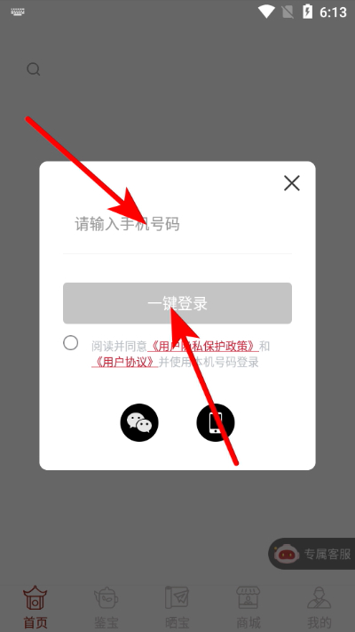艺术收藏网手机版