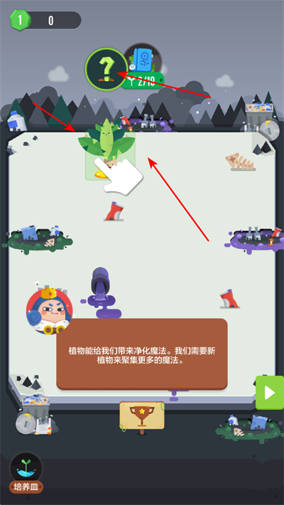 口袋植物最新版2025