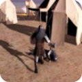 Desert War Survivor(沙漠战争幸存者最新版) 1.0.0安卓版