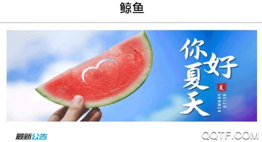鲸鱼app官方版 鲸鱼app官方版