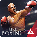 Real Boxing(真实拳击无限金条) 2.9.0最新版
