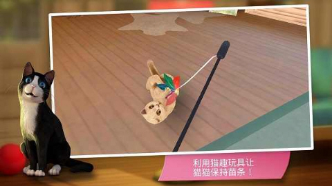 猫舍游戏破解版安卓版