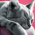 CatHotel(猫舍游戏破解版安卓版) 2.1.10最新版