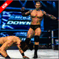 Wrestling Champions 2021(摔跤冠军2021破解版) v1.4正式版