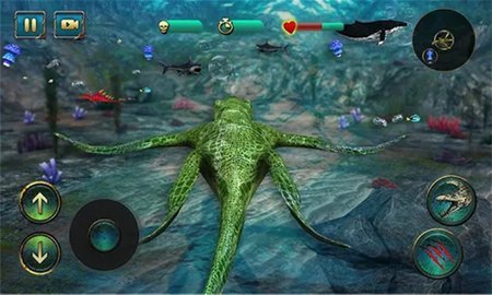 海底大猎鲨游戏破解版 海底大猎鲨游戏破解版