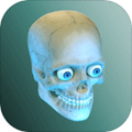Idle Human(放置人类无限转盘版) 1.10.0内购版