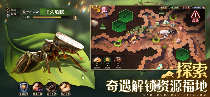 小小蚁国手游 小小蚁国手游