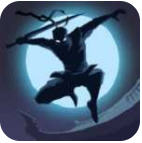 暗影骑士内置作弊器破解版 v1.19.12安卓版