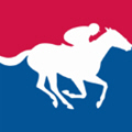 Horse Racer(赛马模拟游戏最新版) 1.0完整版